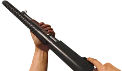 Inspecting the Hauer 77.