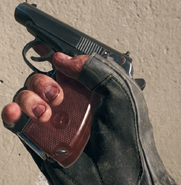 Inspecting the 9mm PM.