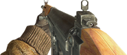 First person view of the FN FAL