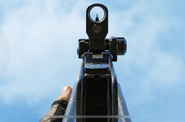 Aiming down the sights