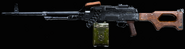 PKM