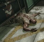 Dead Sergei.jpg (167 KB) Sergei's corpse