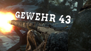 Gewehr 43 Title WWII