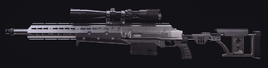 HDR Gunsmith Preview MW