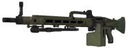 Ameli model CoDG