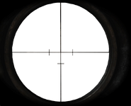 Scoped view.