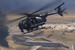 ShadowBird.png