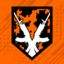 Doing Camo Right achievement icon BO3.png