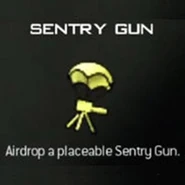 Modern-warfare-3-killstreak-sentry-gun.jpg (10 KB) The place holder icon for the Sentry Gun in Modern Warfare 3.
