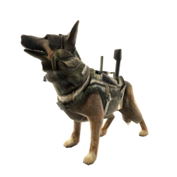 call of duty ghosts dog