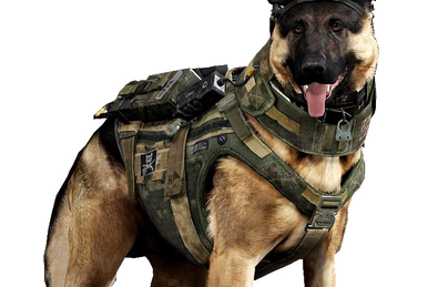 Riley Call of Duty Wiki Fandom