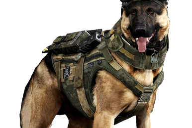 call of duty ghosts dog