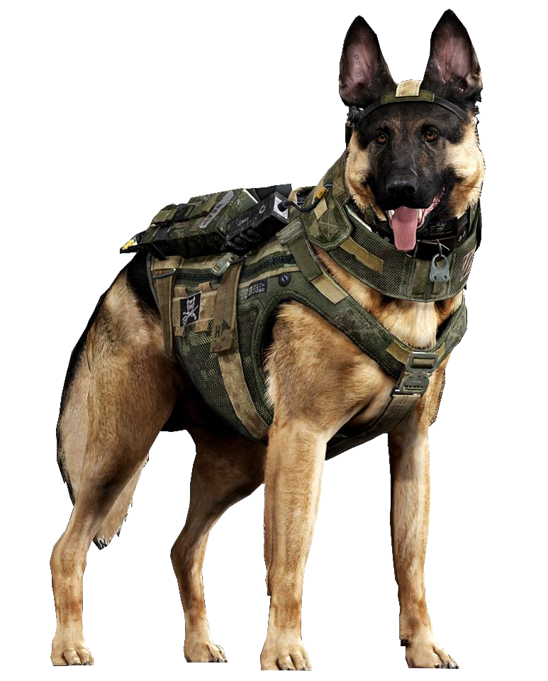 call of duty ghosts dog