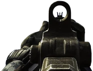 The SC-2010's iron sights