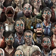 The Camouflage's Design