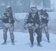 Arctic Spetsnaz.