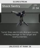 Shock Sentry Unlock Card IW
