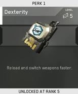 Dexterity being unlocked in multiplayer.