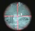 The view down the thermal scope, notice the white figures.