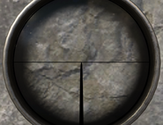 Aiming down the M1903's scope