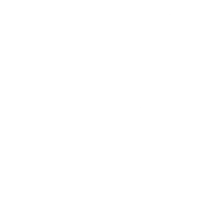 Vanguard playlist icon.