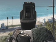 Hailstorm ADS IW.png (1.37 MB) Aiming down the sights