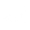 Fortified Perk Icon CODV.png