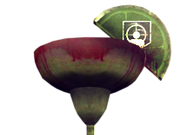 Category Call Of Duty Black Ops Cold War Zombies Perk A Colas Call Of Duty Wiki Fandom