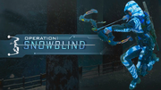 Operation Snowblind Promo BO3.png