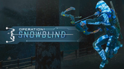 Operation Snowblind Promo BO3