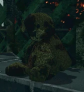 Teddy Bear Look BO2