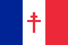 Резистентный френч