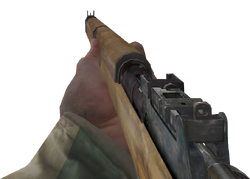 Lee-Enfield, Call of Duty Wiki