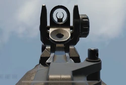 Aiming down the sights