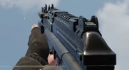 The MSMC in first person