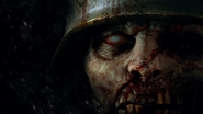 Nazi Zombies teaser.