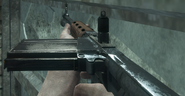 The FG42 in Black Ops.