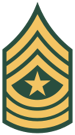 US Army OR-9.png