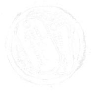 KillConfirmed Gamemode Icon MP BOCW