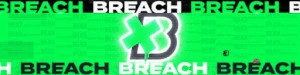 BostonBreach2024 CallingCard MWIII
