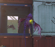 A Parasite in Nightmares.
