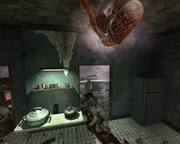 Вышли на охоту