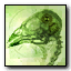 Bird brain Emblem MW2.png