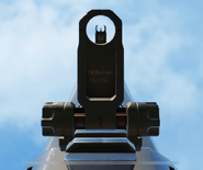 Aiming down the sights