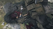 Scavenger body in Ashika Island.