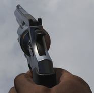 The .357 in first person.