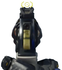 Aiming down the sights