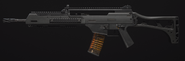 Holger 556