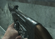 The STG-44 in Zombies.