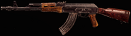 Flash Guard on AK-47